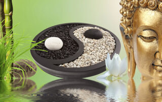 Yin & Yang Yoga Special mit Christiane ElterSports Grünwald November 2023