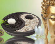 ElterSports Grünwald Fitness Kurse Specials April 2026 Yin- & Yang Yoga Special Nataliya T.