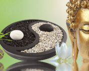 News 28 ElterSports Grünwald Fitness Kurse Yin Yang Yoga Special November 2025