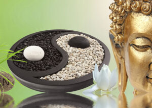 Yin Yang Yoga 7 ElterSports Grünwald Fitness Kurse Yin Yang Yoga Special November 2025