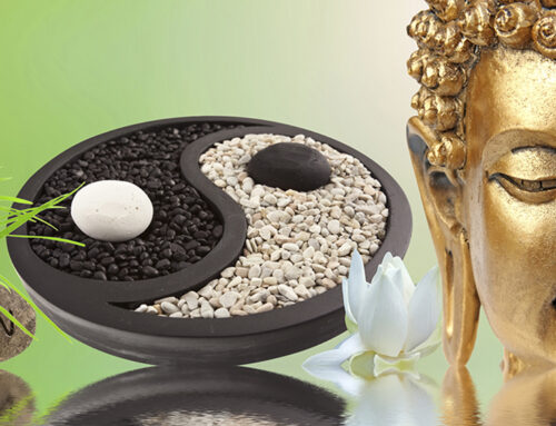 Yin & Yang Yoga Special mit Christiane